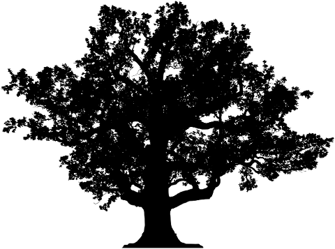 tree-nature-silhouette-wood-7518017