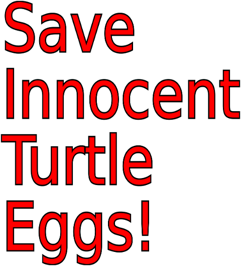 turtle-eggs-innocent-life-7210464