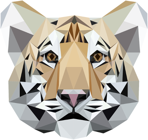 tiger-predator-feline-polygon-poly-6013483