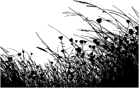 vegetation-grass-silhouette-brush-7361809