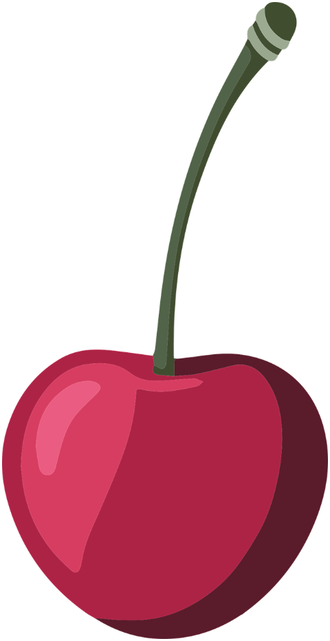 red-cherry-vector-9561536