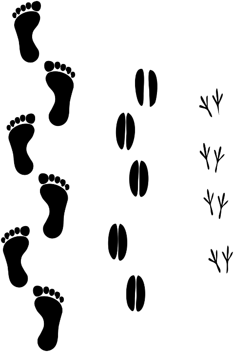 feet-steps-silhouette-footprint-6783120