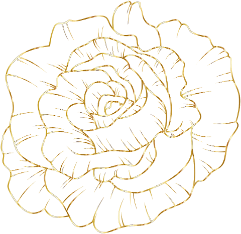 rose-flower-gold-line-art-petals-6346856