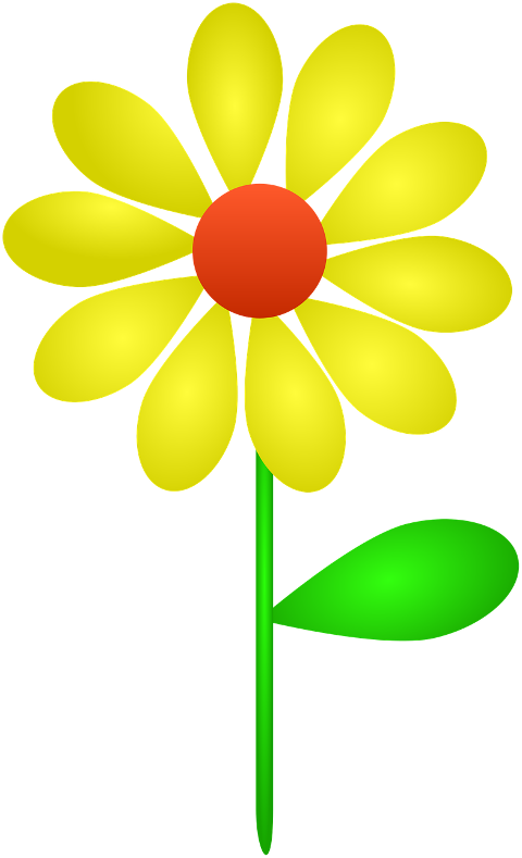 flower-daisy-nature-blossom-plant-9812561