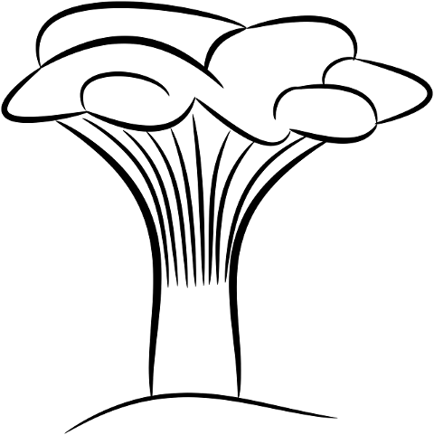 mushroom-chanterelle-drawing-7098049