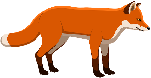 fox-red-fox-animal-canine-mammal-7332881