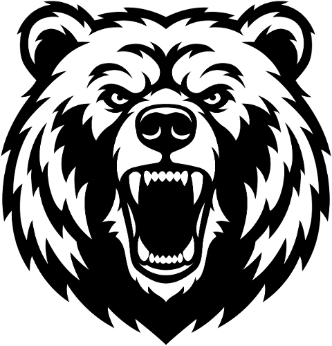 bear-grizzly-bear-black-bear-10027585