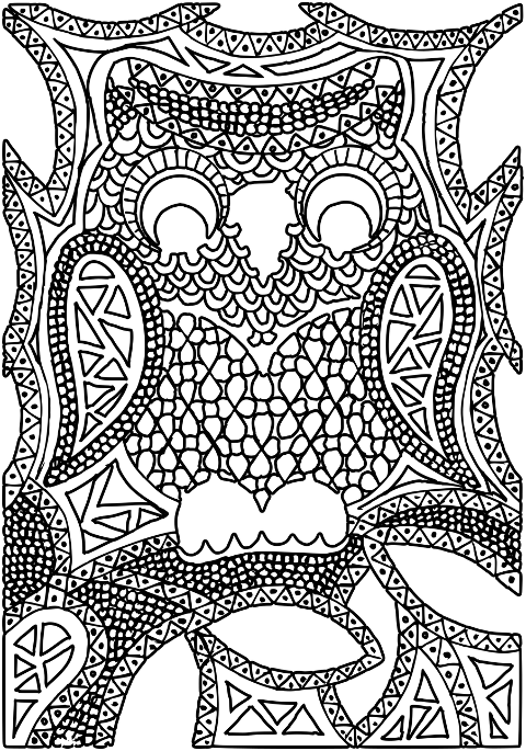 owl-animal-zentangle-bird-7900141