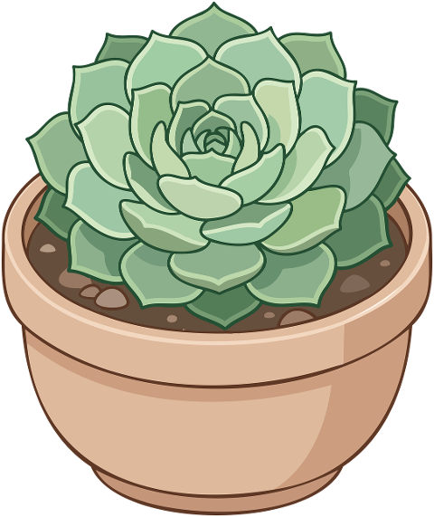 succulent-plant-ceramic-pot-10446794