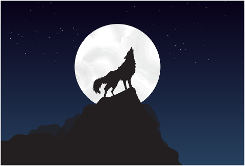 wolf-moon-nighttime-stars-sky-4561204