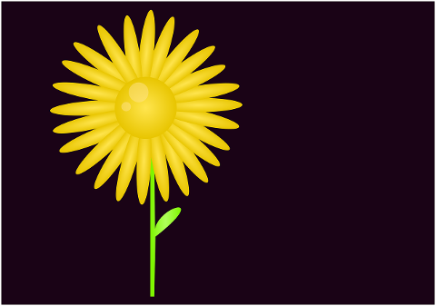 sunflower-flower-background-6770162
