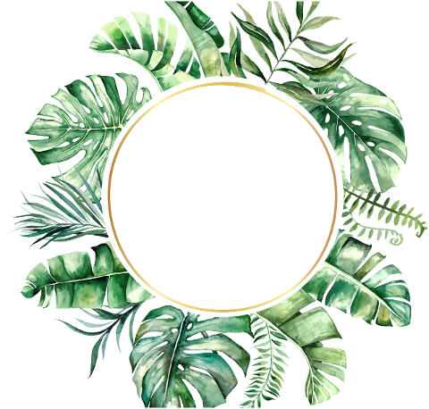leaves-wreath-frame-border-circle-6590395