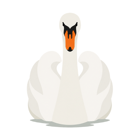 swan-white-swan-water-bird-10353935