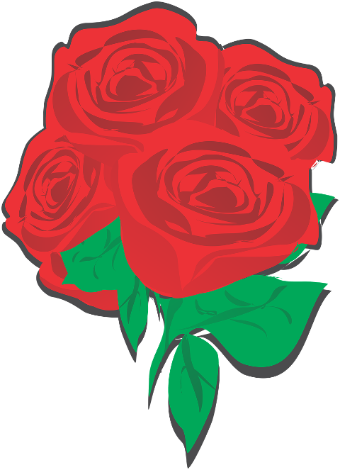 flowers-roses-bouquet-petals-6147867
