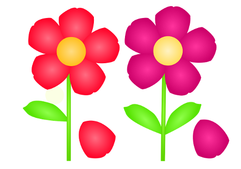flowers-bloom-to-flourish-petals-6617006