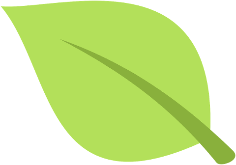 green-leaf-plant-nature-spring-9850192