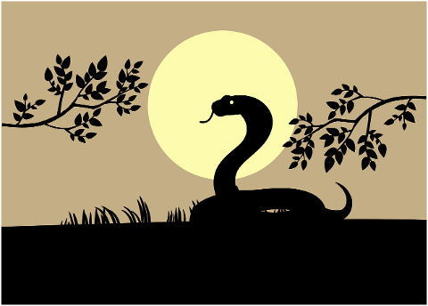 snake-silhouette-grass-jungle-9260451