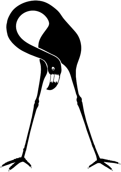 flamingo-bird-silhouette-animal-6020557