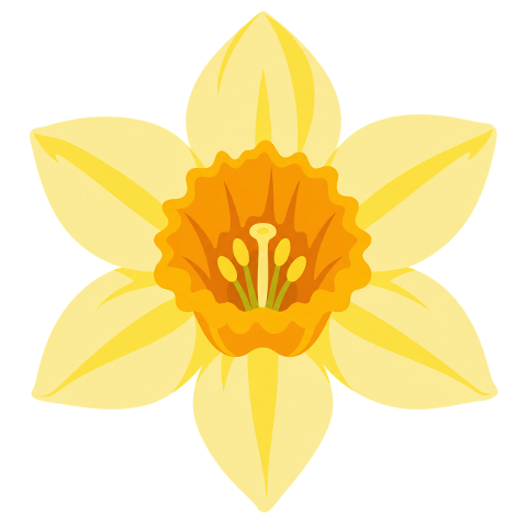 daffodil-flower-yellow-spring-10480951