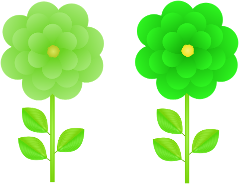 flowers-floral-green-flowers-spring-7264370