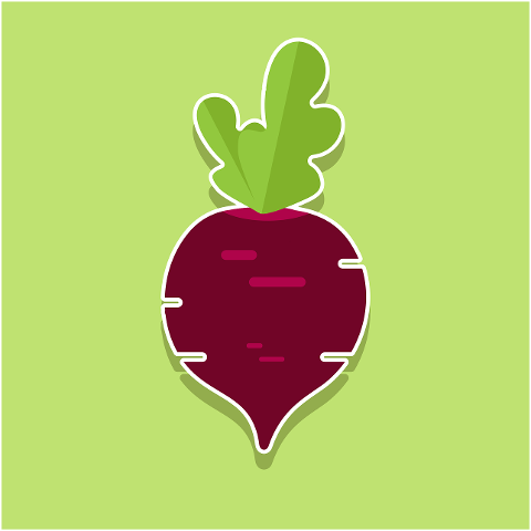 vegetable-beetroot-organic-healthy-7186415