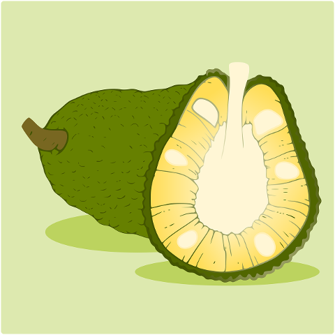 fruit-jackfruit-food-clip-art-art-7129433