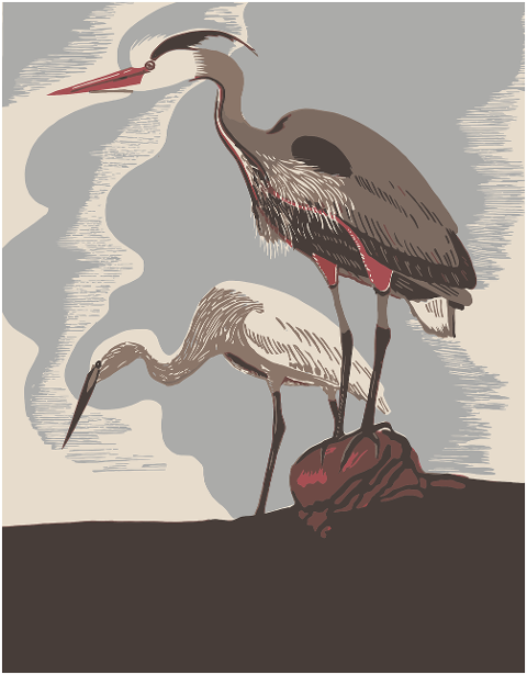 herons-birds-animals-poster-7881512