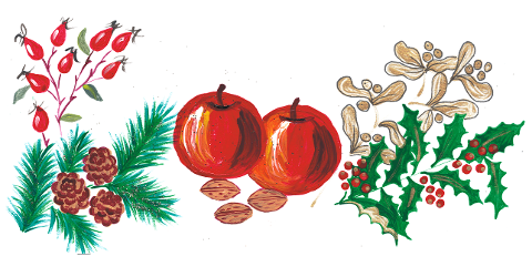 christmas-apples-holly-mistletoe-7677948