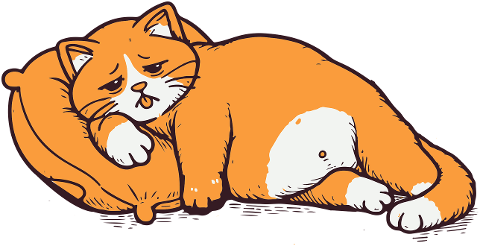 cat-lazy-tired-kitten-pillow-cute-8633491
