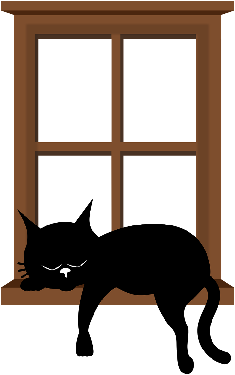 cat-kitten-black-cats-pet-sleeping-9568159