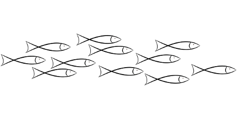 school-of-fish-fish-sketch-drawing-7286345