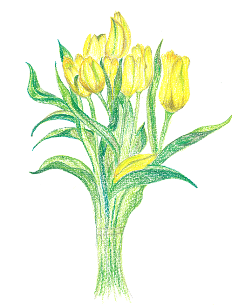 tulips-bouquet-bloom-easter-7004094