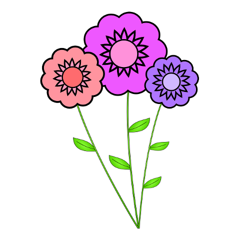 flowers-bloom-art-blossom-cutout-6815564