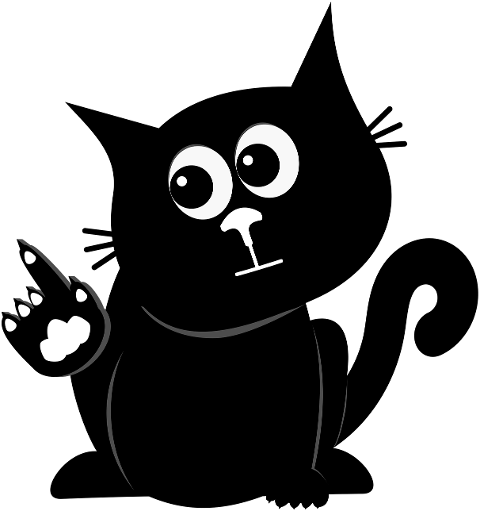 cat-kitten-black-cat-pet-animal-10274596