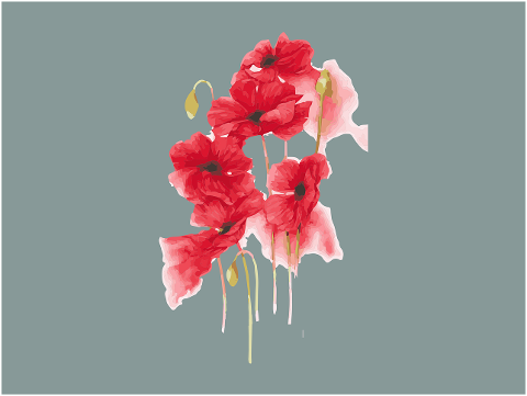 watercolor-flowers-art-floral-6475471