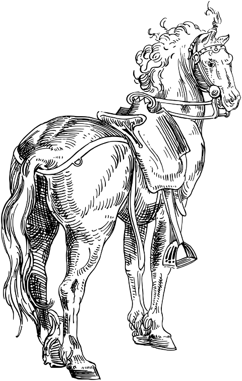 horse-equine-animal-line-art-7361688