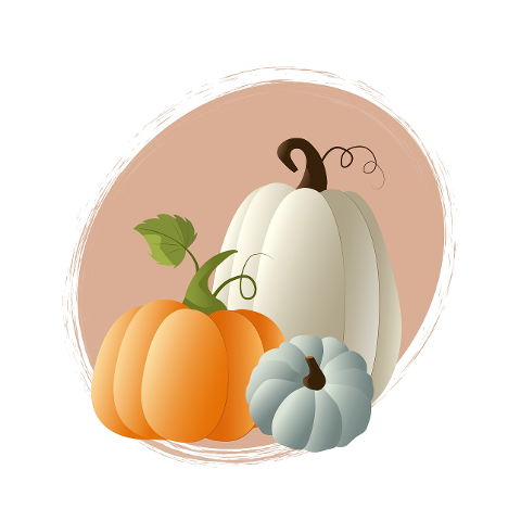 pumkin-pumpkin-autumn-october-8306398
