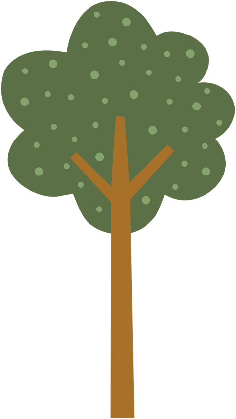 tree-nature-wood-forest-plant-9605783