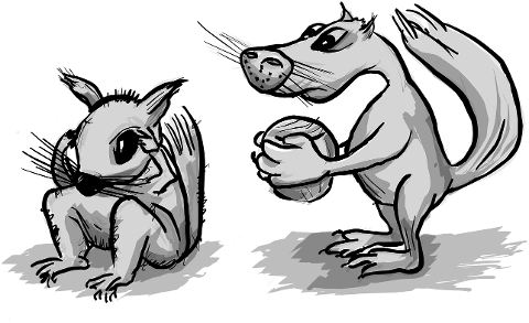 squirrel-rodent-chipmunk-animals-7122905