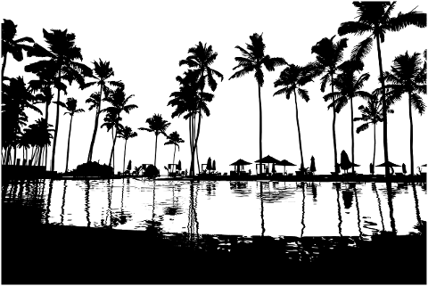 palm-trees-pool-silhouette-tropical-7625903