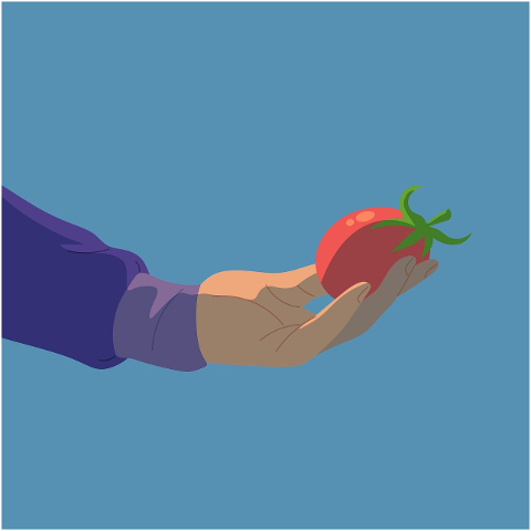 tomato-fruit-fresh-food-supplement-9681131