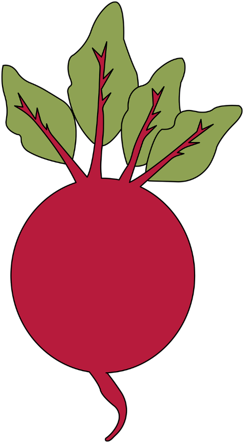 beetroot-vegetables-diet-food-6868921