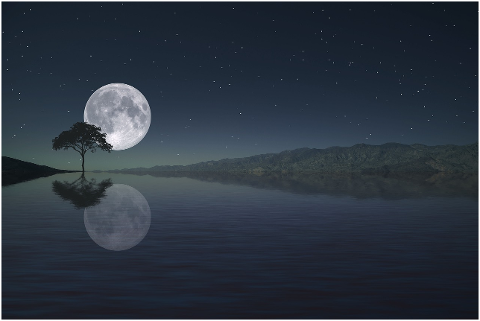 full-moon-reflection-moon-nature-4588727