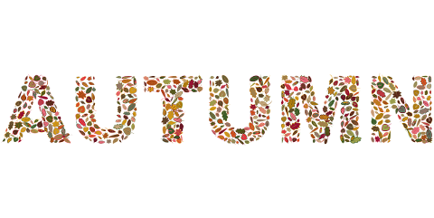 autumn-typography-leaves-text-6844022