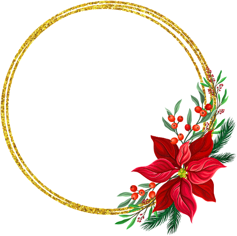 christmas-pointettia-flower-holiday-6882156