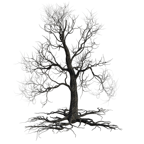 creepy-tree-autumn-nature-scary-4567461