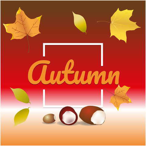 autumn-season-leaf-chestnut-4714093