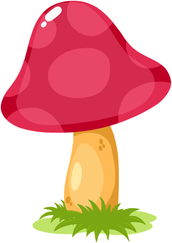 mushroom-fungi-plant-food-forest-4970762