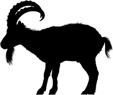goat-animal-silhouette-alpine-ibex-7258808
