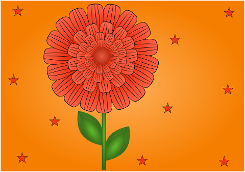 flower-floral-card-orange-flower-7337253